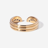 Raffle Ticket: Defending the rights of immigrants, refugees, and asylum seekers