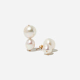 Clove Earrings
