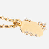 Diamond Dog Tag Hinged Charm