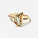 The Vizi Solitaire Ring