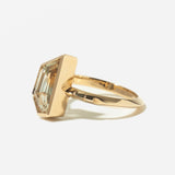 The Vizi Solitaire Ring