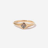 The Charvi Signet Ring