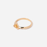 The Souci Ring