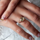 The Zonlicht Signet Ring