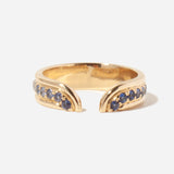 Blue Sapphire Klein Ring