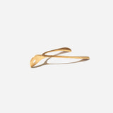 Mega Wishbone Charm