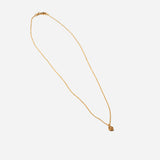 Scallop Skull Necklace
