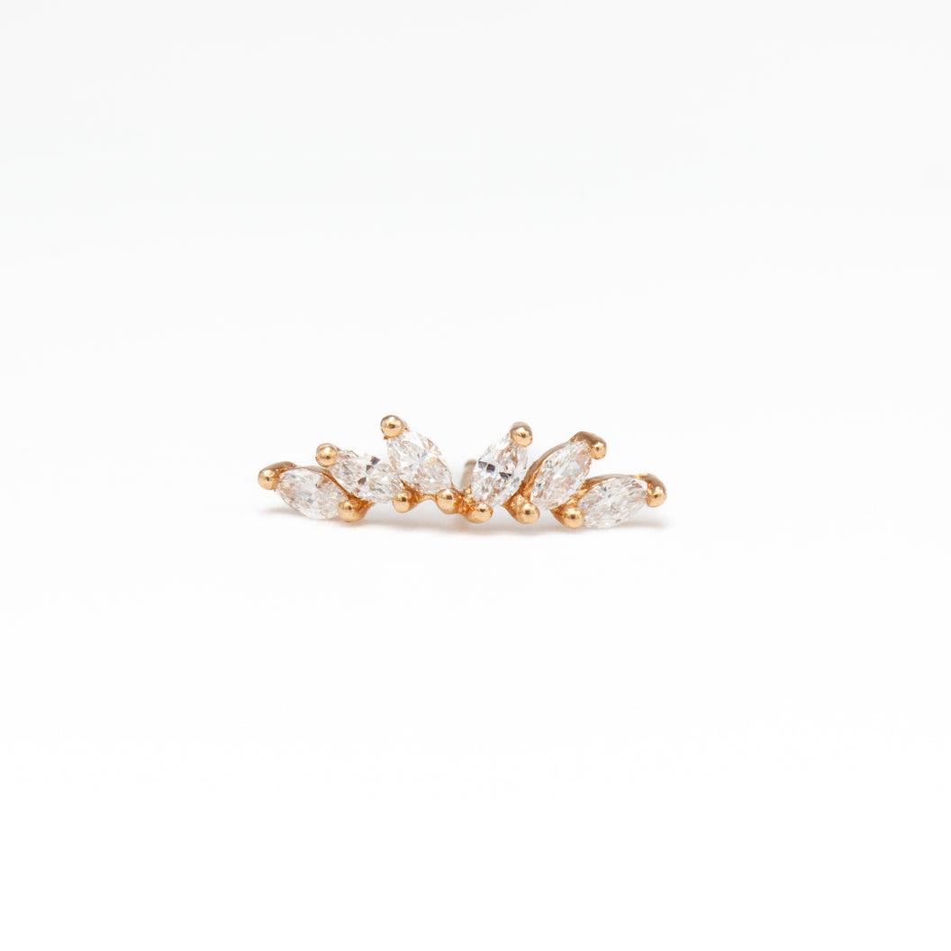 EDN3ASWDW - Earrings main image 1