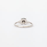1.00ct Salt and Pepper Diamond Nova Ring